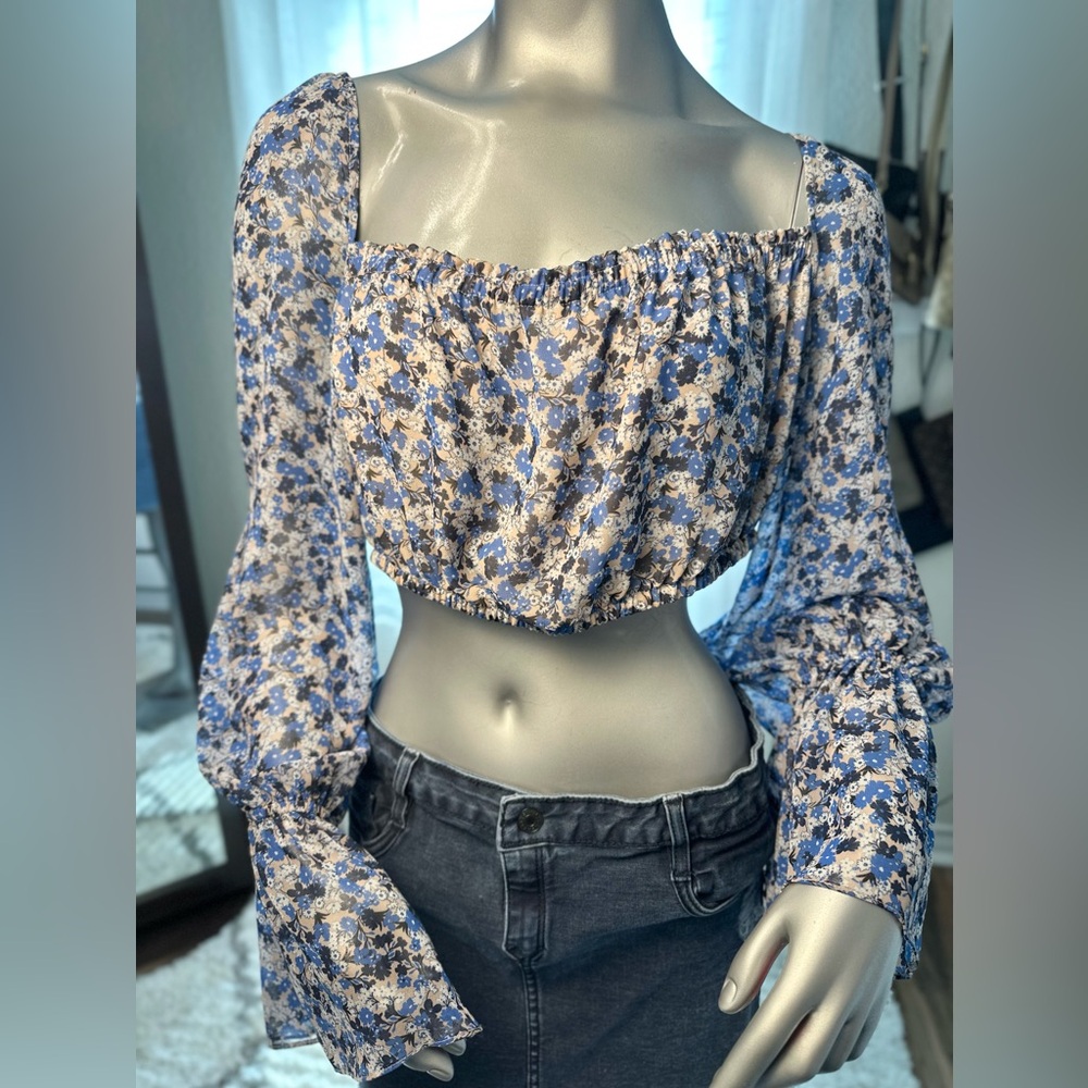 Anthropologie Fame & Partners Willet Boho Blue Floral Crop Top Size 10